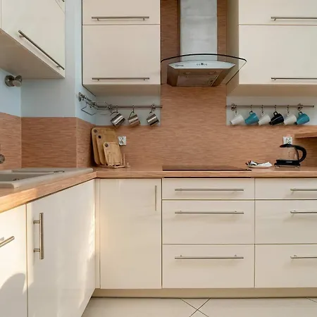 Spacious Two-bedroom With 2 Parking Spaces By Renters גדנסק